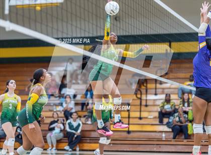 Thumbnail 2 in Jack Britt @ Pine Forest photogallery.