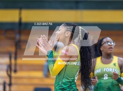 Thumbnail 1 in Jack Britt @ Pine Forest photogallery.