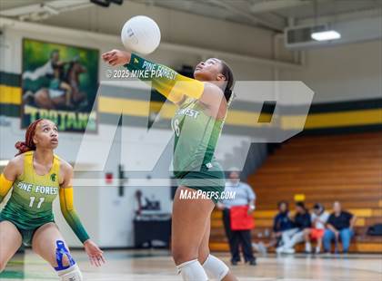 Thumbnail 3 in Jack Britt @ Pine Forest photogallery.