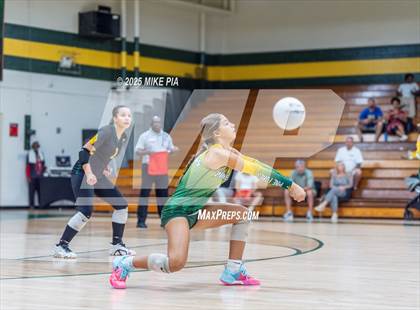 Thumbnail 1 in Jack Britt @ Pine Forest photogallery.