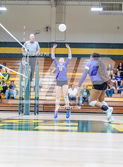 Thumbnail 3 in Jack Britt @ Pine Forest photogallery.