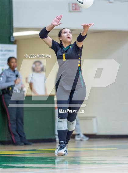 Thumbnail 1 in Jack Britt @ Pine Forest photogallery.