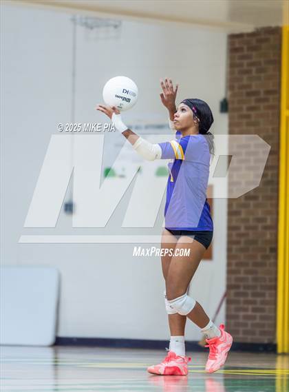Thumbnail 3 in Jack Britt @ Pine Forest photogallery.