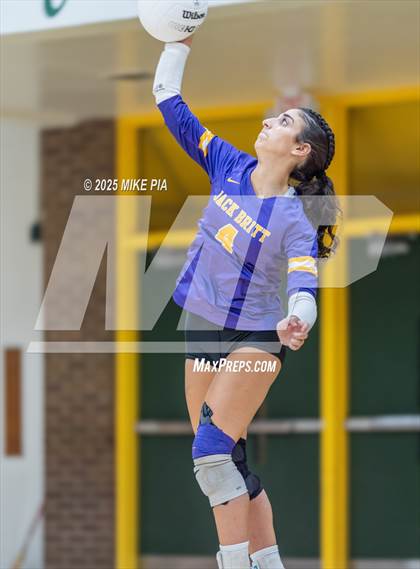 Thumbnail 2 in Jack Britt @ Pine Forest photogallery.