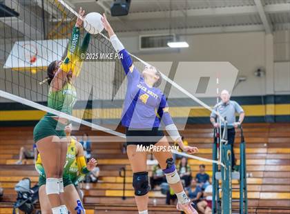Thumbnail 2 in Jack Britt @ Pine Forest photogallery.