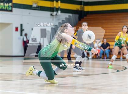 Thumbnail 3 in Jack Britt @ Pine Forest photogallery.