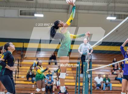 Thumbnail 1 in Jack Britt @ Pine Forest photogallery.