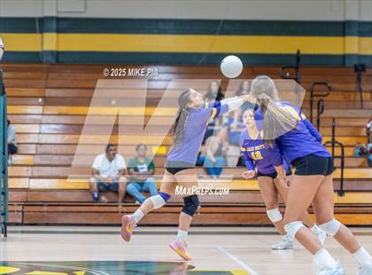 Thumbnail 2 in Jack Britt @ Pine Forest photogallery.