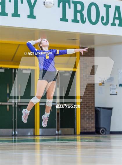 Thumbnail 1 in Jack Britt @ Pine Forest photogallery.