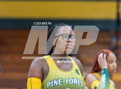 Thumbnail 3 in Jack Britt @ Pine Forest photogallery.