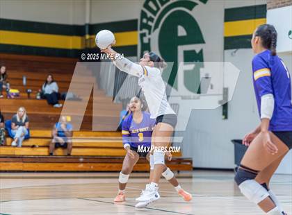 Thumbnail 1 in Jack Britt @ Pine Forest photogallery.