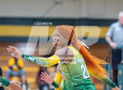Thumbnail 2 in Jack Britt @ Pine Forest photogallery.