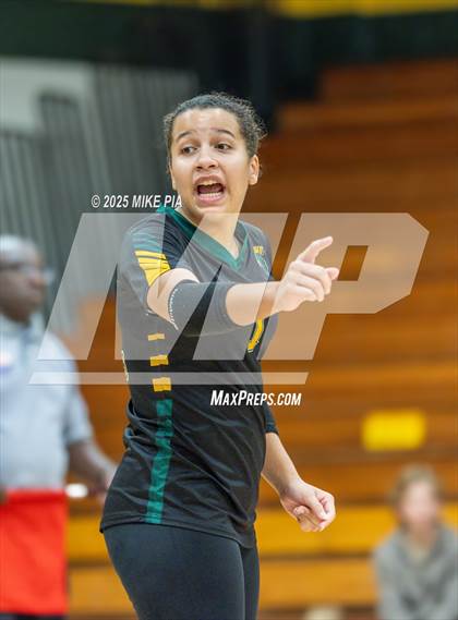 Thumbnail 3 in Jack Britt @ Pine Forest photogallery.