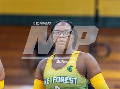 Thumbnail 3 in Jack Britt @ Pine Forest photogallery.