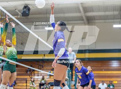 Thumbnail 1 in Jack Britt @ Pine Forest photogallery.