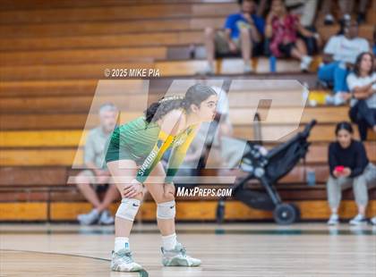 Thumbnail 1 in Jack Britt @ Pine Forest photogallery.