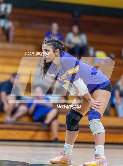 Thumbnail 3 in Jack Britt @ Pine Forest photogallery.