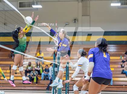Thumbnail 3 in Jack Britt @ Pine Forest photogallery.