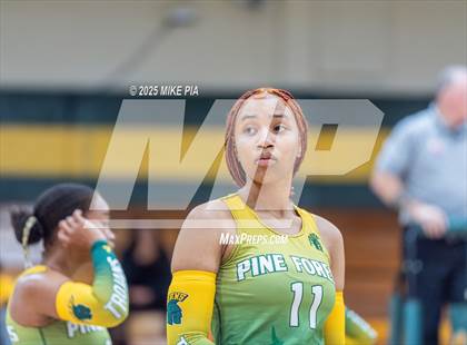 Thumbnail 1 in Jack Britt @ Pine Forest photogallery.