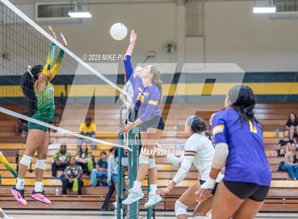 Thumbnail 2 in Jack Britt @ Pine Forest photogallery.