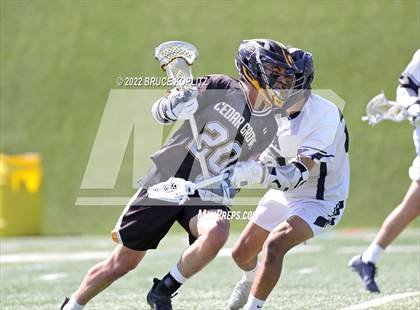 Thumbnail 3 in Cedar Grove @ Montclair Kimberley Academy photogallery.