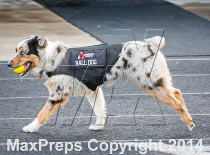 Thumbnail 1 in Jordan @ Spanish Fork photogallery.