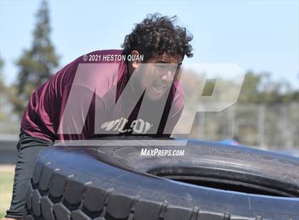 Thumbnail 3 in Marina Lineman Challenge - Obstacle Course (Marina Invitational) photogallery.