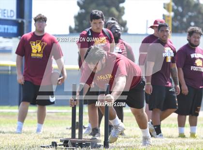 Thumbnail 2 in Marina Lineman Challenge - Obstacle Course (Marina Invitational) photogallery.