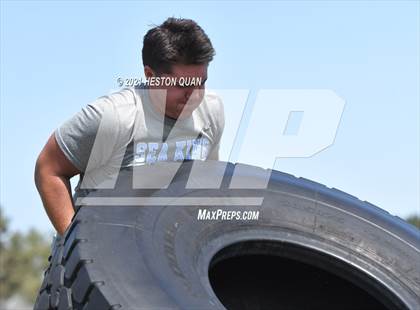 Thumbnail 3 in Marina Lineman Challenge - Obstacle Course (Marina Invitational) photogallery.
