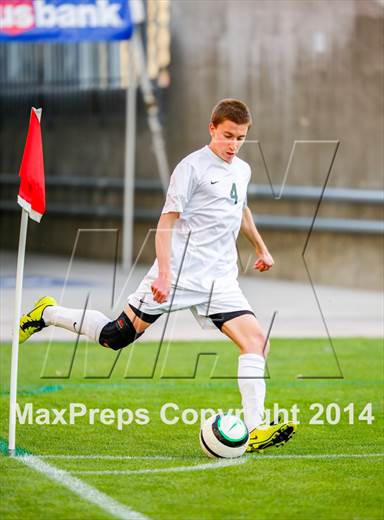 null - Photo 61