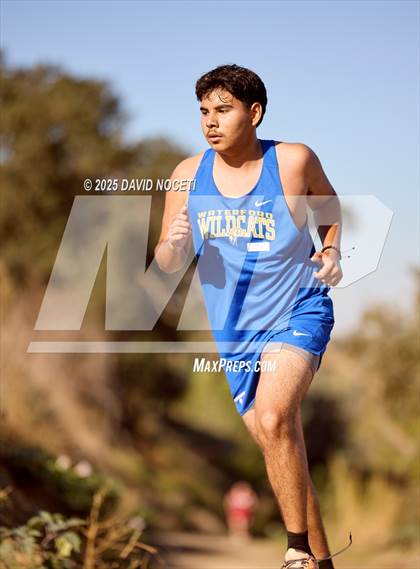 Thumbnail 3 in Southern League Meet photogallery.