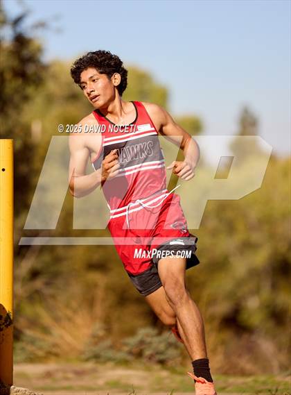 Thumbnail 1 in Southern League Meet photogallery.