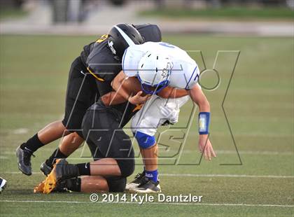Thumbnail 3 in Chico @ Frost photogallery.