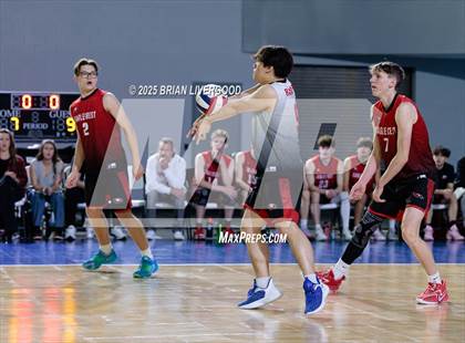 Thumbnail 3 in Littleton Public Schools vs. Eaglecrest (CHSAA 5A Semifinal) photogallery.