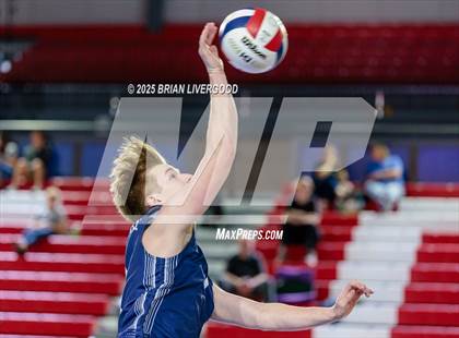 Thumbnail 3 in Littleton Public Schools vs. Eaglecrest (CHSAA 5A Semifinal) photogallery.