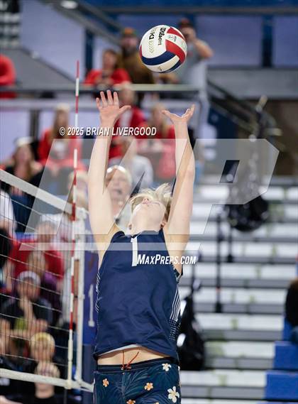 Thumbnail 2 in Littleton Public Schools vs. Eaglecrest (CHSAA 5A Semifinal) photogallery.