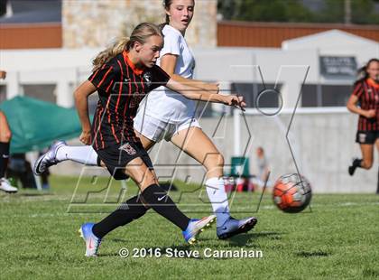 Thumbnail 2 in Murray @ Hillcrest photogallery.