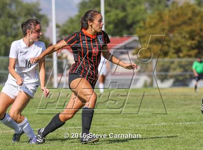 Thumbnail 1 in Murray @ Hillcrest photogallery.