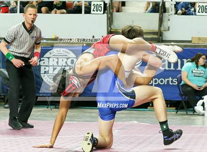 Thumbnail 2 in AIA Wrestling Championships (Division 2 Finals) photogallery.