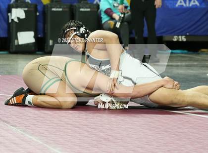Thumbnail 2 in AIA Wrestling Championships (Division 2 Finals) photogallery.