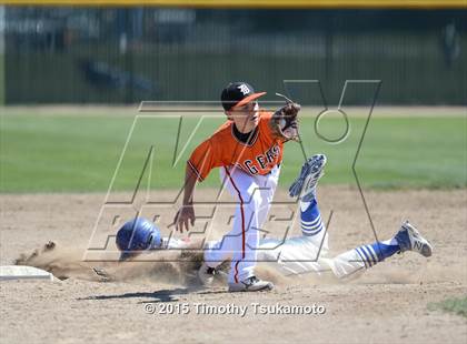 Thumbnail 3 in Douglas @ Reno photogallery.
