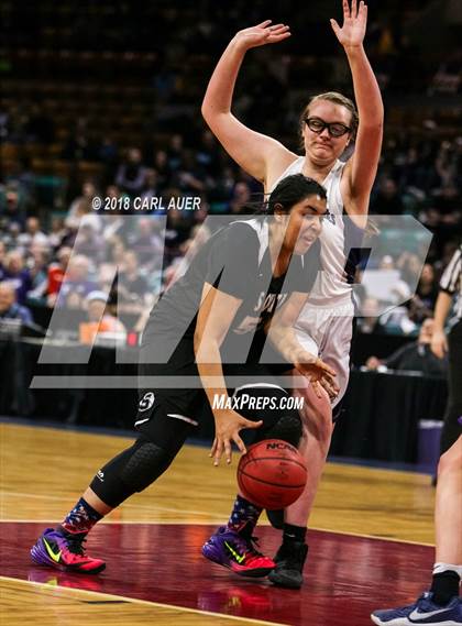 Thumbnail 3 in Pueblo South vs. Mesa Ridge (CHSAA 4A Final Four) photogallery.