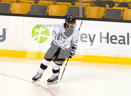 Thumbnail 1 in Plymouth South vs. Stoneham (MIAA Division 2 Final) photogallery.