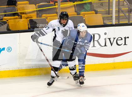 Thumbnail 3 in Plymouth South vs. Stoneham (MIAA Division 2 Final) photogallery.