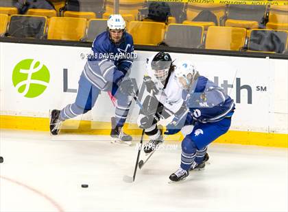 Thumbnail 3 in Plymouth South vs. Stoneham (MIAA Division 2 Final) photogallery.