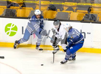 Thumbnail 2 in Plymouth South vs. Stoneham (MIAA Division 2 Final) photogallery.