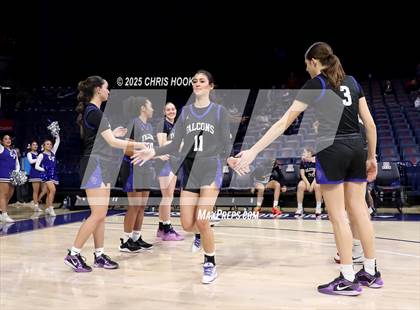 Thumbnail 2 in Catalina Foothills vs Pueblo (McKale Center) photogallery.