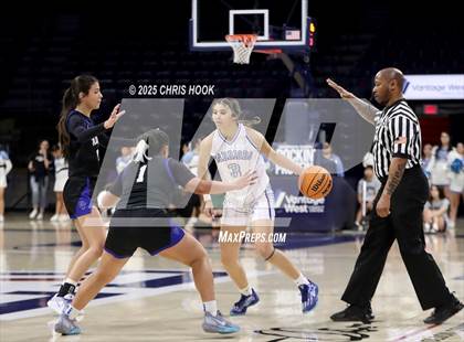 Thumbnail 3 in Catalina Foothills vs Pueblo (McKale Center) photogallery.