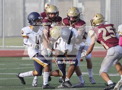 Thumbnail 3 in JV: Morse @ Point Loma photogallery.