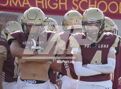 Thumbnail 3 in JV: Morse @ Point Loma photogallery.